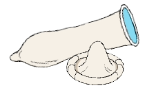 Condom line drawing