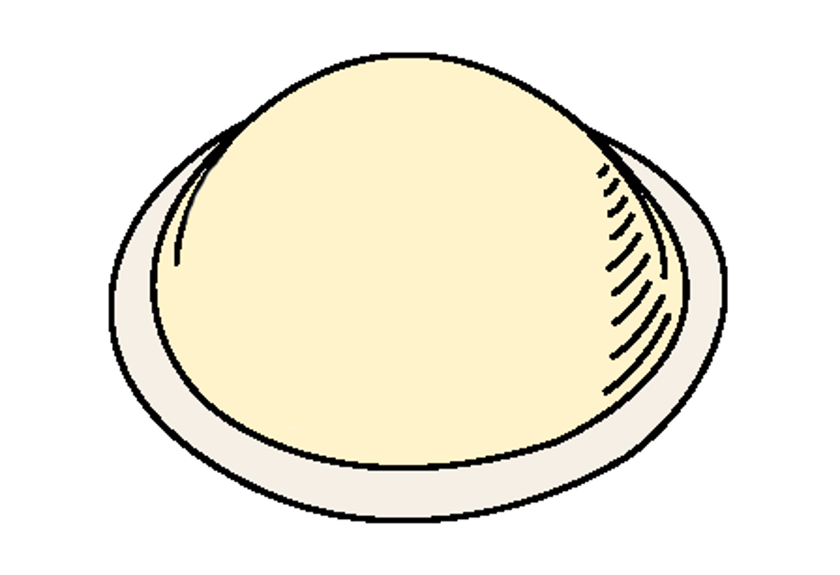 Diaphragm line drawing