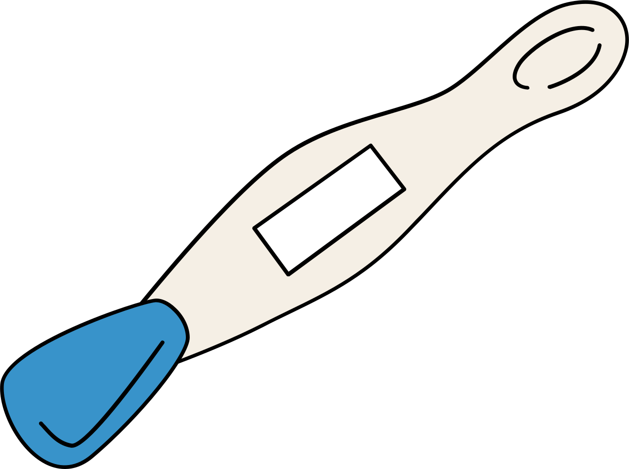 Pregnancy Test None