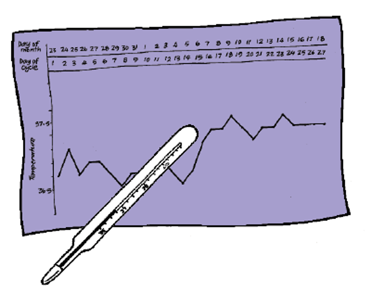 Fertility line drawing