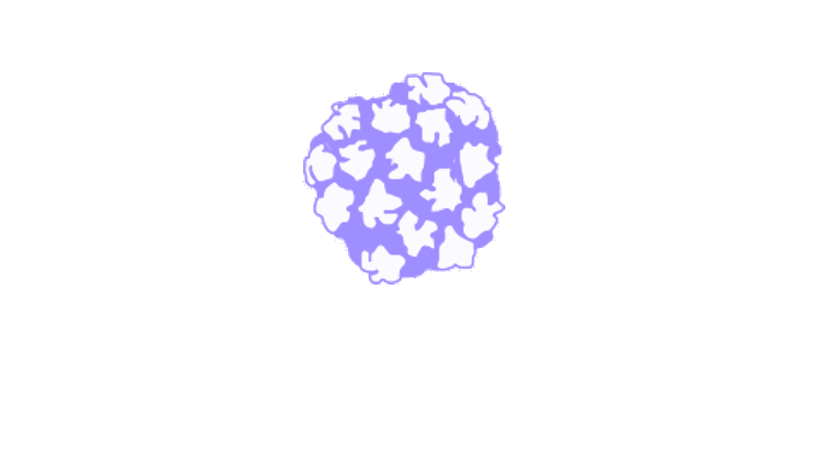 Illustration of human papillomavirus