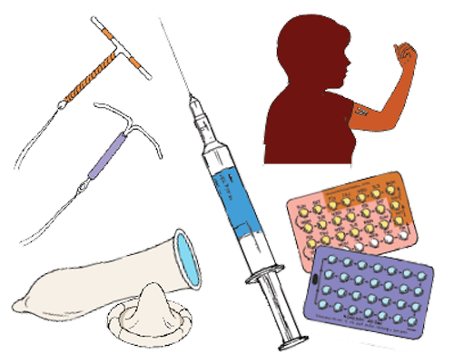 Contraception types line drawing